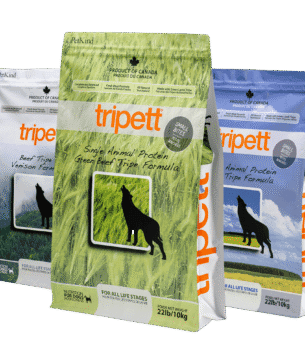 Healthy Dog Food