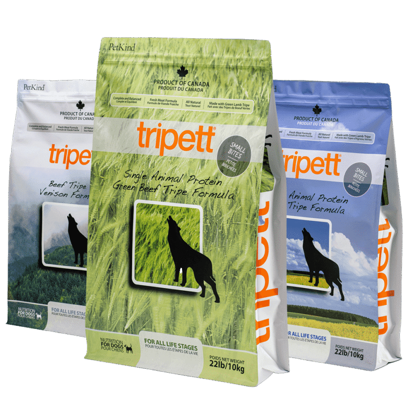 Healthy Dog Food