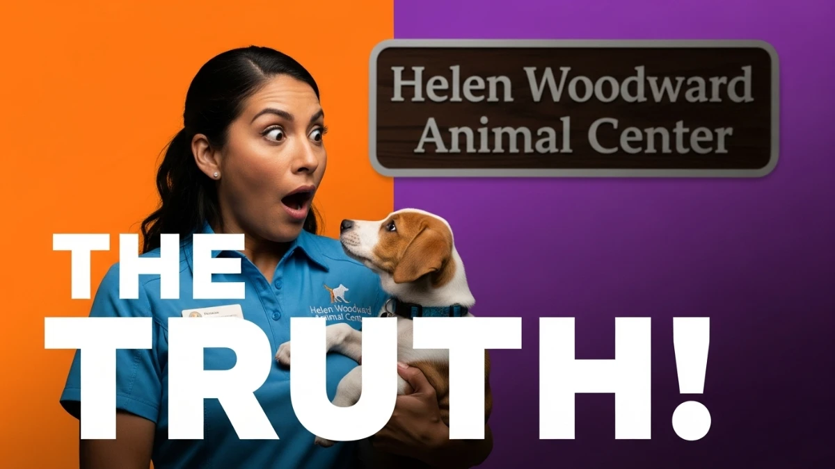 Helen Woodward dog training